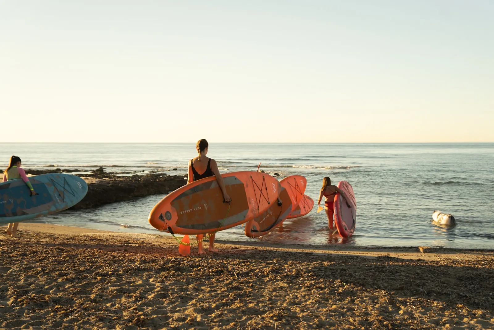 Grupo entrando al mar con tablas de paddle surf en nuestra cala, a pie de mar, al atardecer.