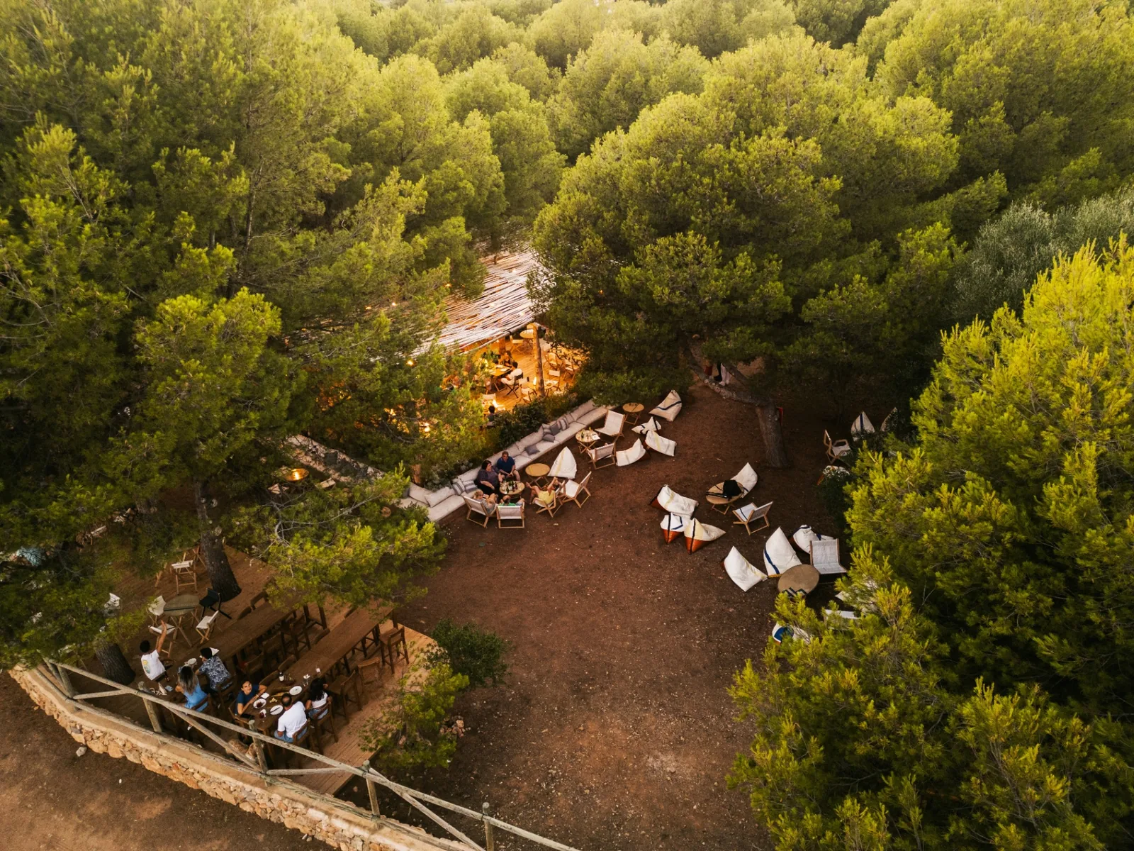 Vista aérea de Bosque entre pinos y el mar, en Torre Bellver
